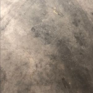 Meet your Posher, Ronald